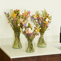 Fiori secchi - Bouquet di campo - Multi