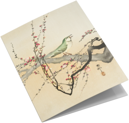 Grußkarten-Set Vogeldrucke