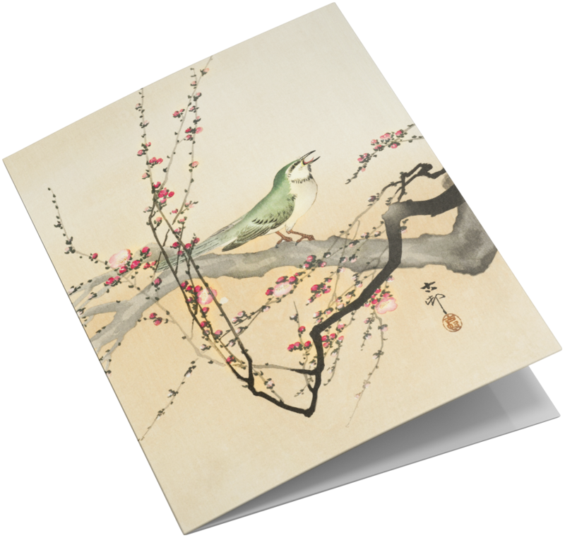 Grußkarten-Set Vogeldrucke