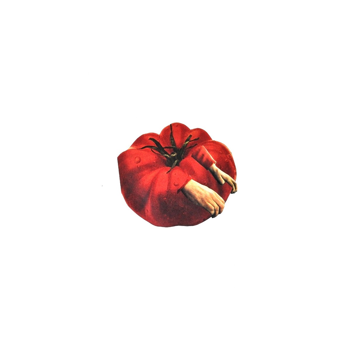 food 10