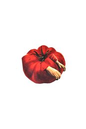 food 10