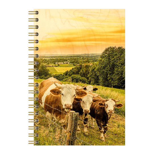 CARNET COUV BOIS / VACHES SOLEIL COUCHANT
