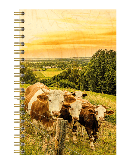 CARNET COUV BOIS / VACHES SOLEIL COUCHANT