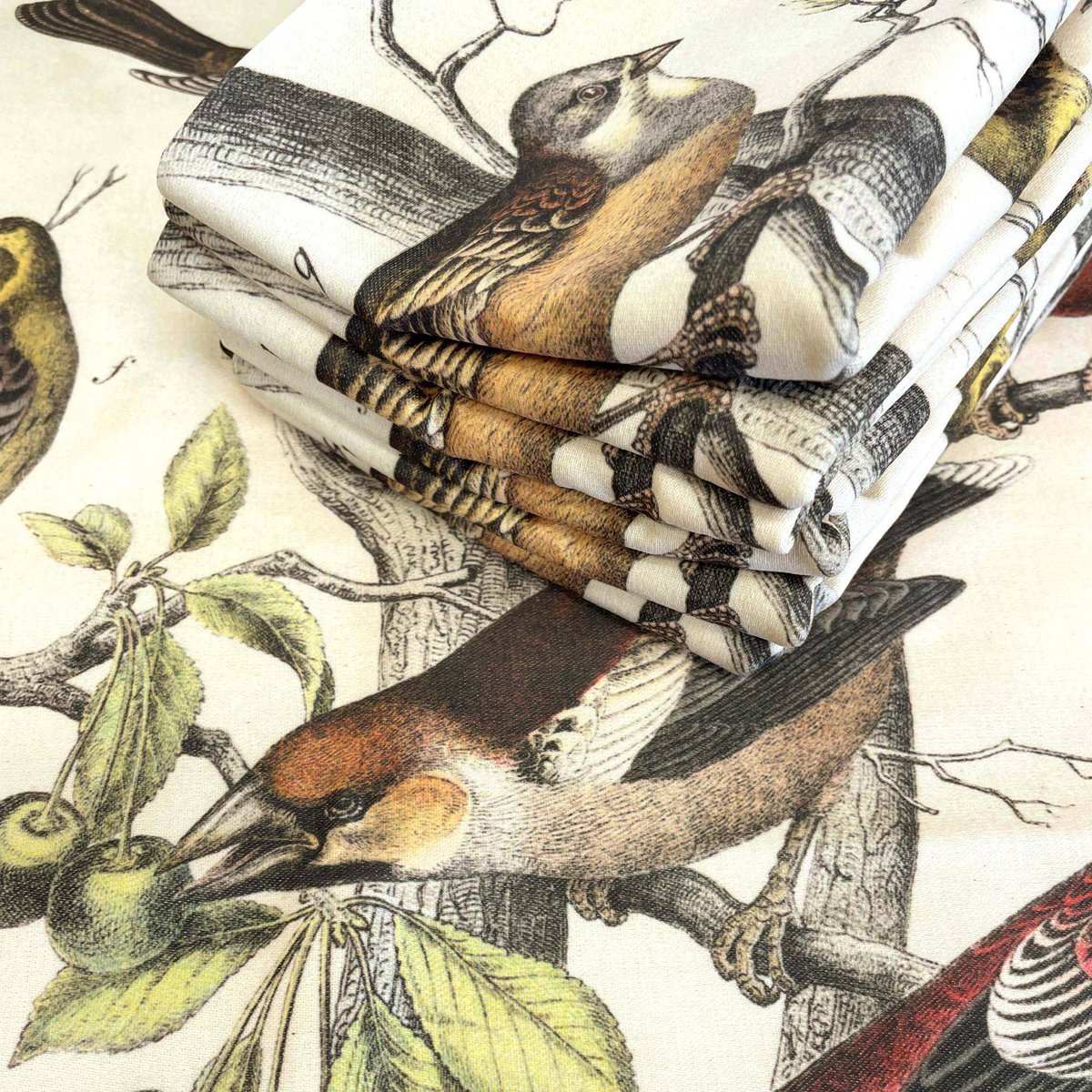 Vintage Finches Rzut Poszewka na poduszkę Klasyczny wystrój ptaka | VIN009