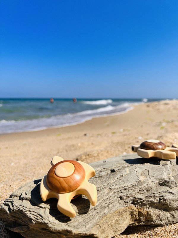 Giocattolo Tartaruga Marina - Tortuga in legno