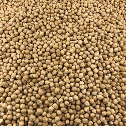 Organic Chickpeas in Bulk