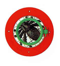 Insect magnifying glass