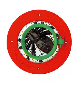 Insect magnifying glass