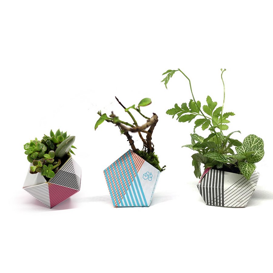3 OriBon - Classic collection