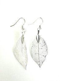 Pendiente Hoja de Eucalipto Plata