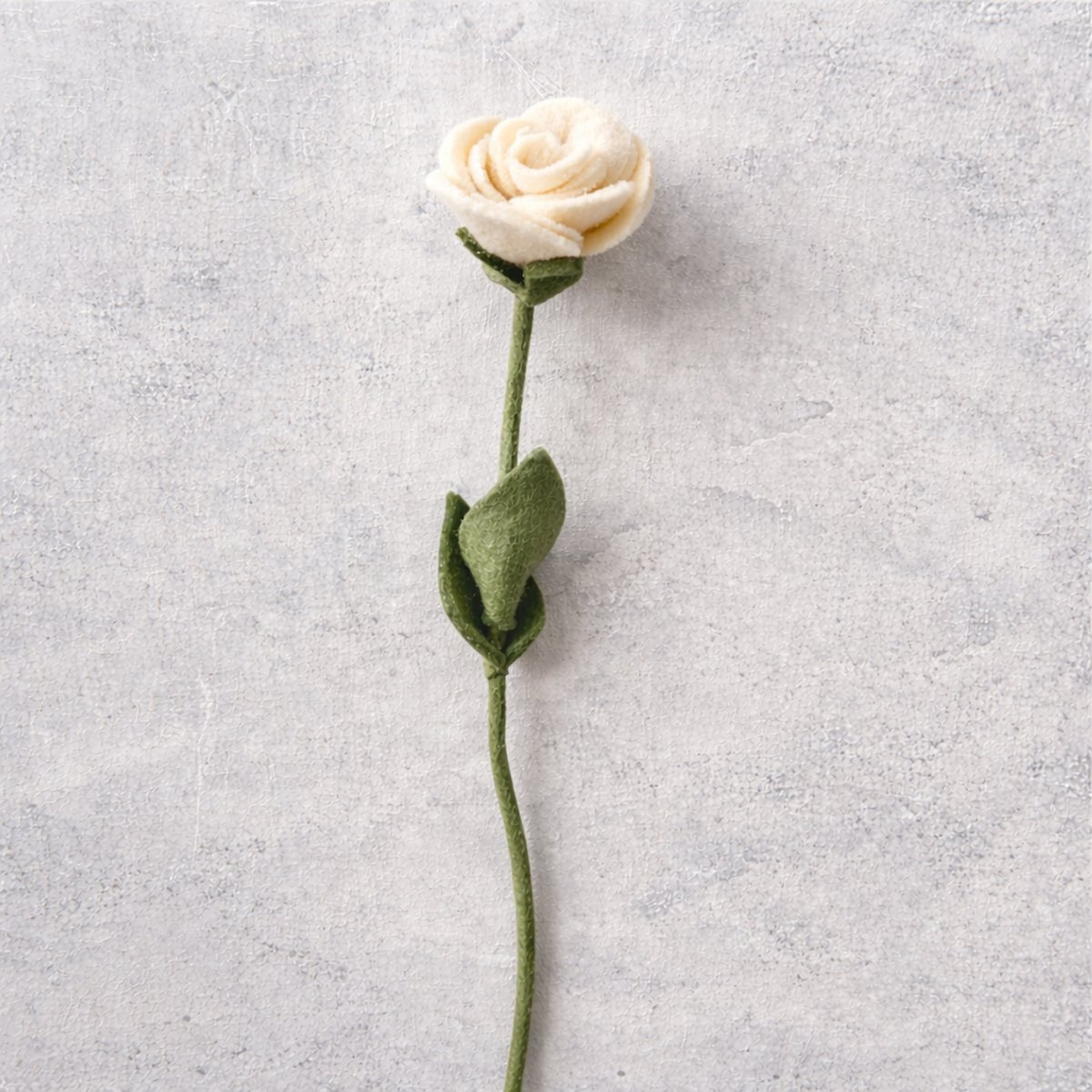 Rose Blanc