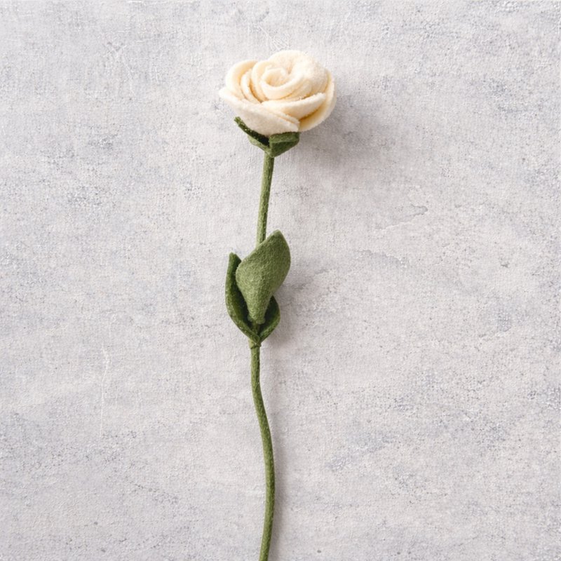 Rosa bianca