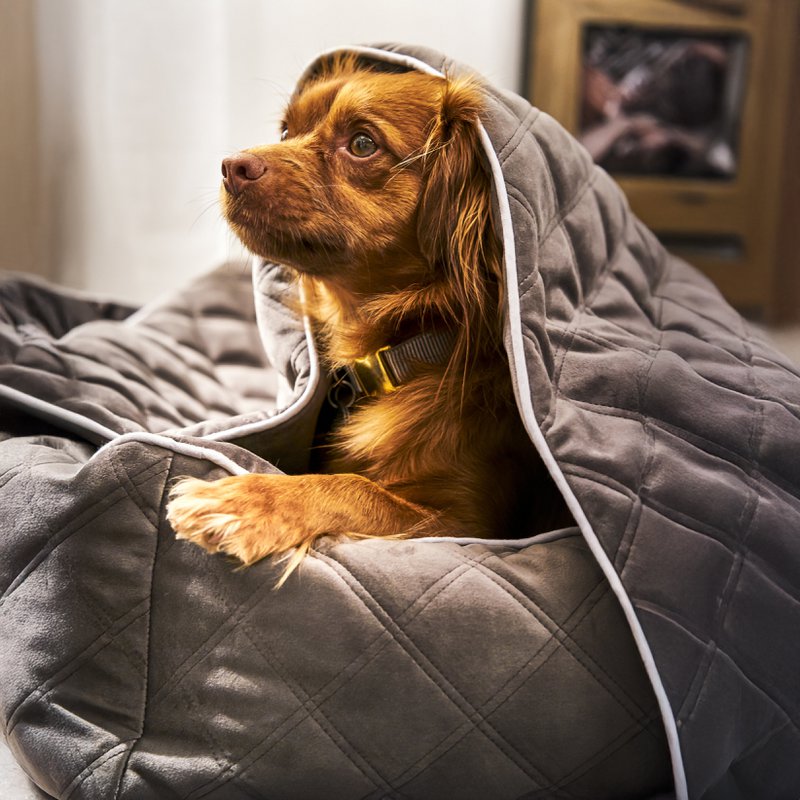 OXFORD I CLASSIC HUNDEBETT