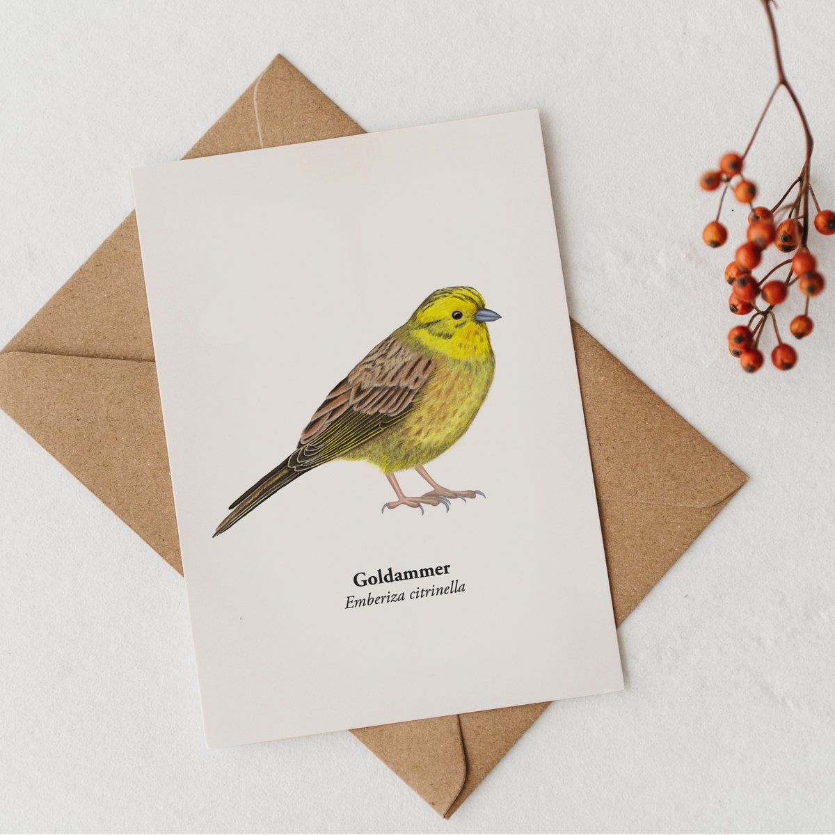 Postal de pájaros con dibujo de Goldenema, Miniprint A6 Nature