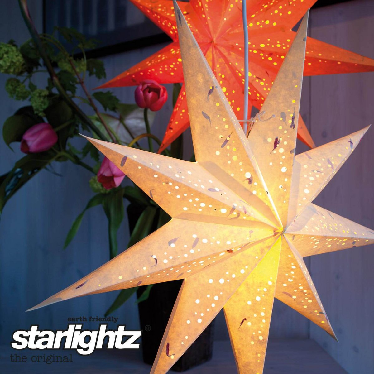 starlightz spumante m white
