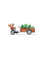Vélo cargo