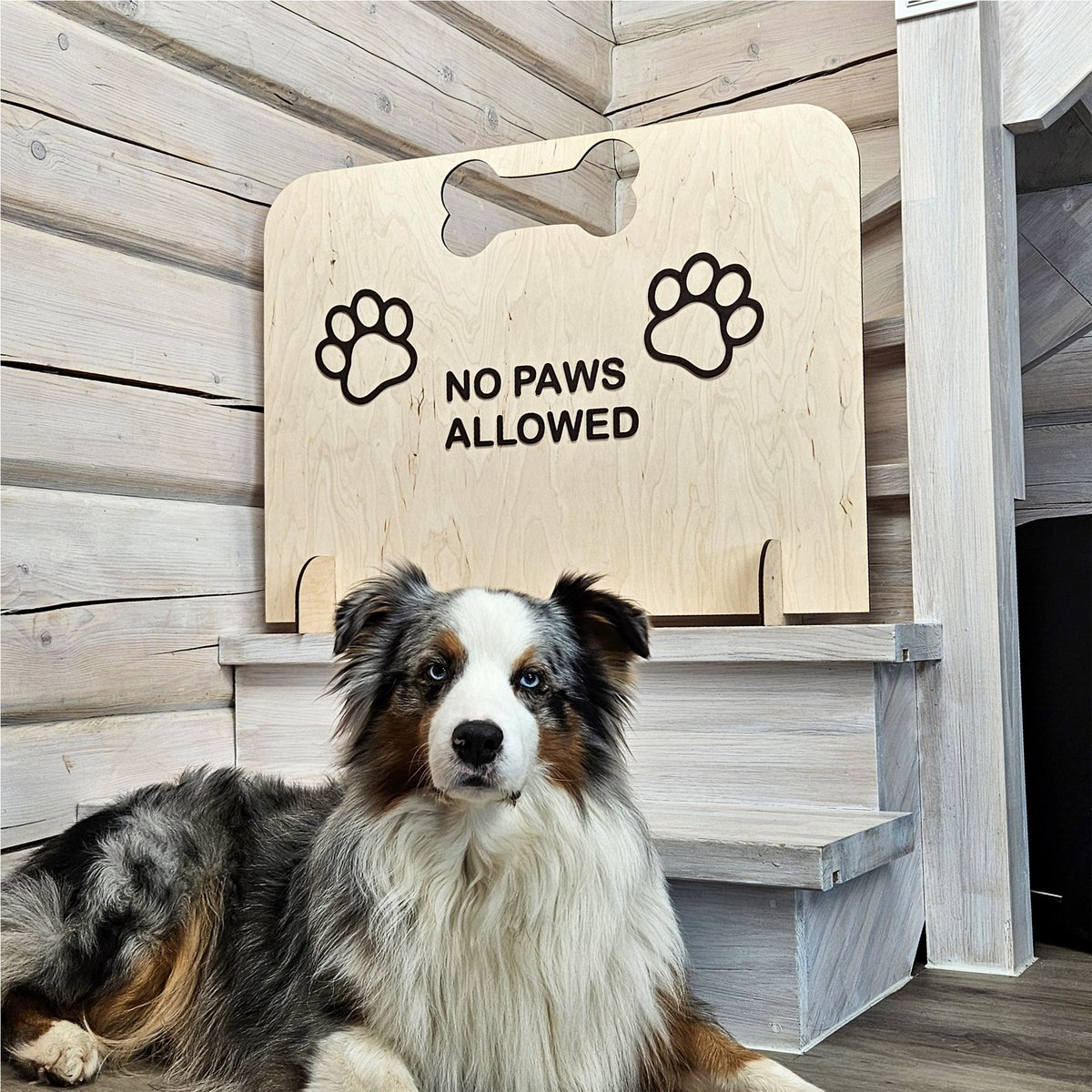 Puerta de barrera de perros, puerta de seguridad de mascotas de madera portátil (no se requiere perforación)