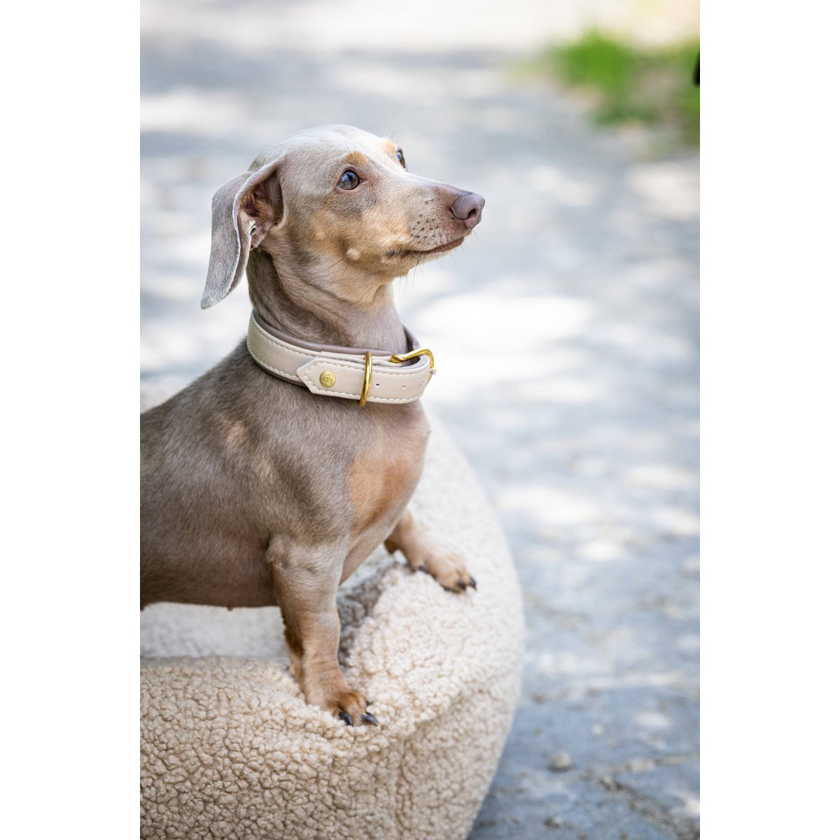AMICI IVORY - Nappaleder Halsband