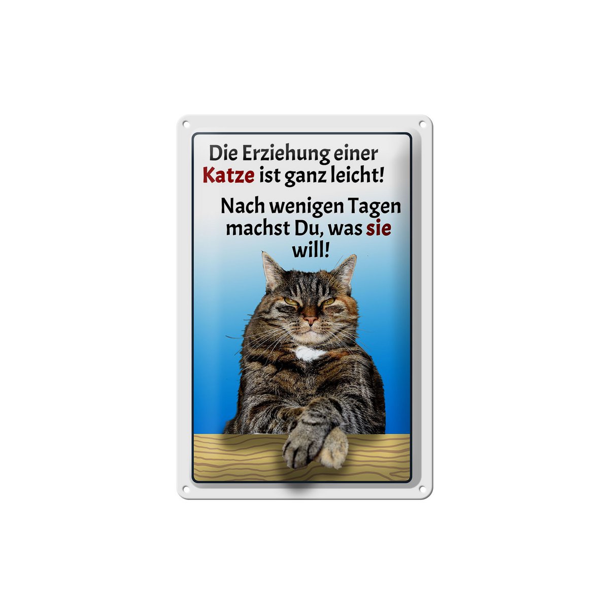 Blikken bordje met de tekst 20x30cm Het opvoeden van een kat is eenvoudig