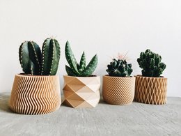 Set of 4 decorative plant pots in geometric patterns, featuring various cactus and succulent plants in neutral-toned ceramic containers.