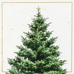Lunch-Servietten Fir Tree