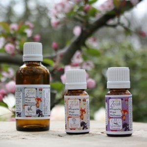 Wipe Wellness – Changing Oil (refill Bliss) 10ml