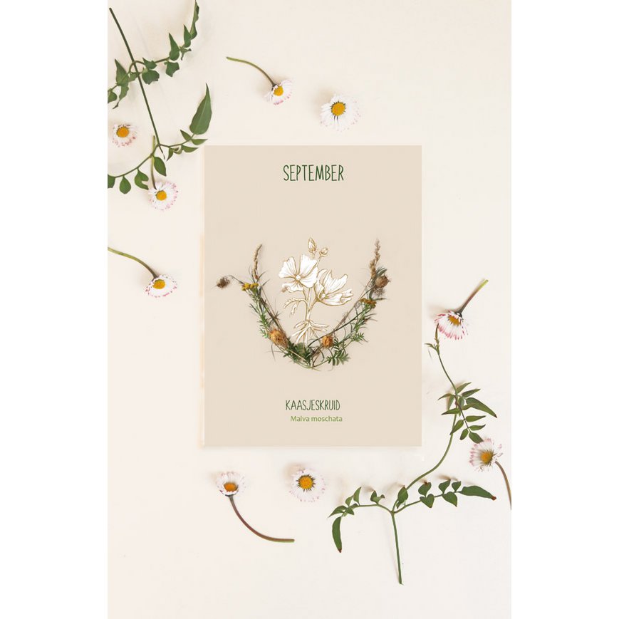 Carte Fleur mensuelle septembre