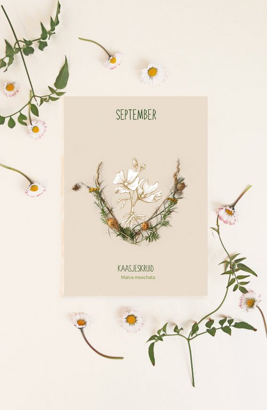 Map monthly flower September