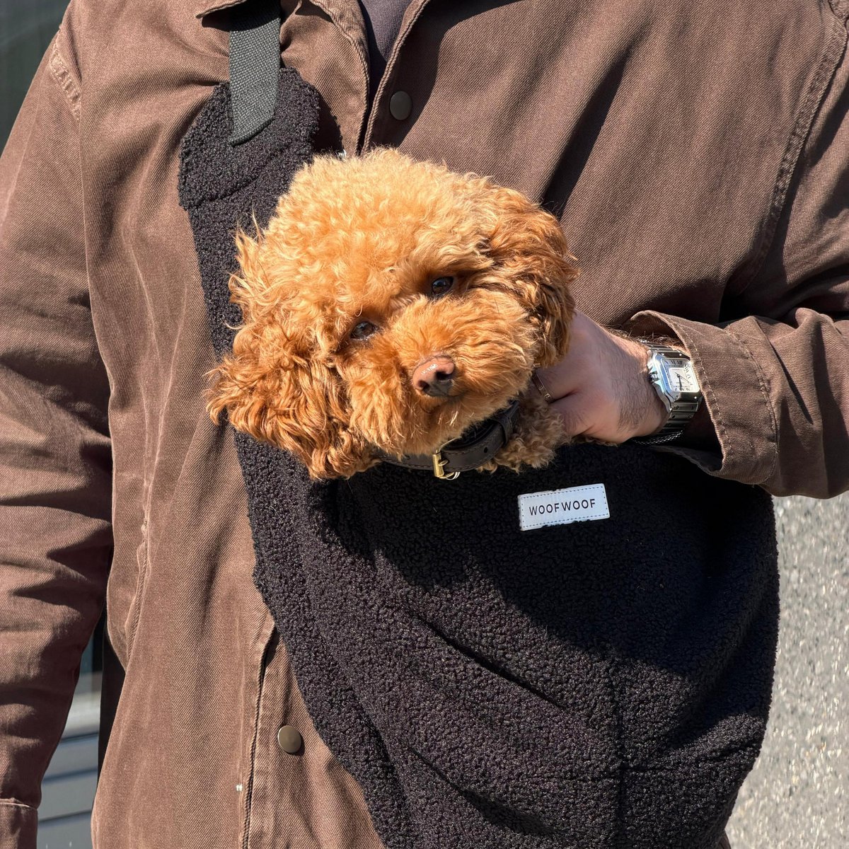 Honden Draagzak zwart - zachte teddy stof voor puppy’s & kleine honden tot 8 kg
