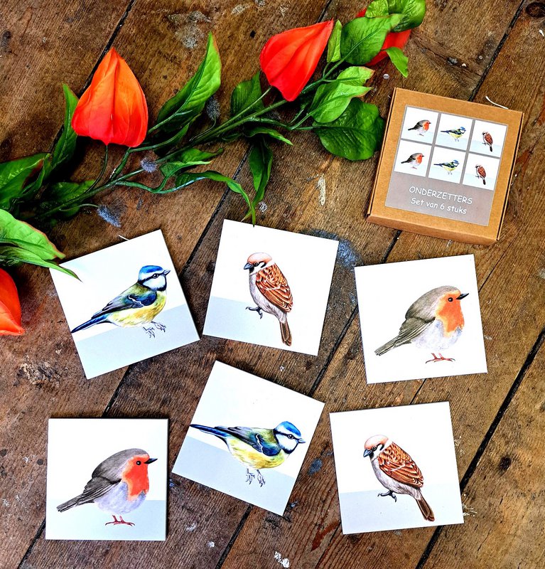 Coasters birds
