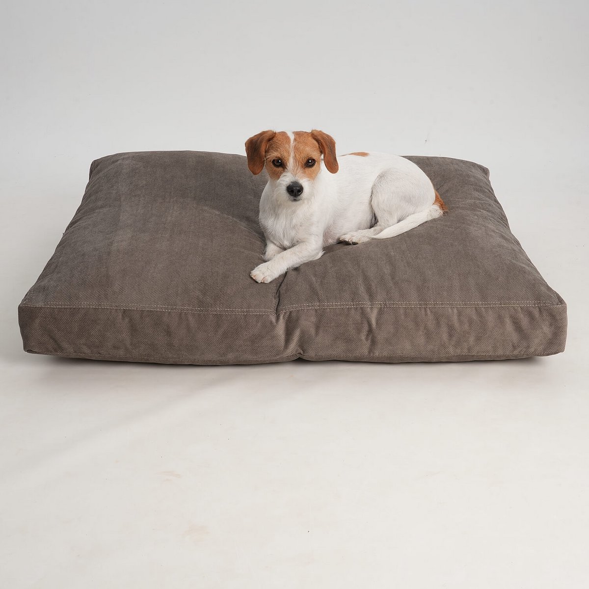 Hundekissen Madison stone