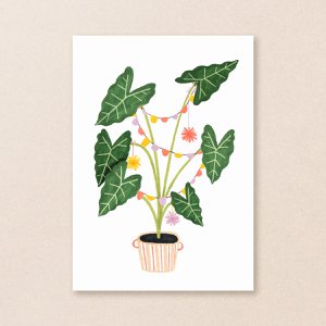 Postkarte | Partypflanze | Zimmerpflanzen