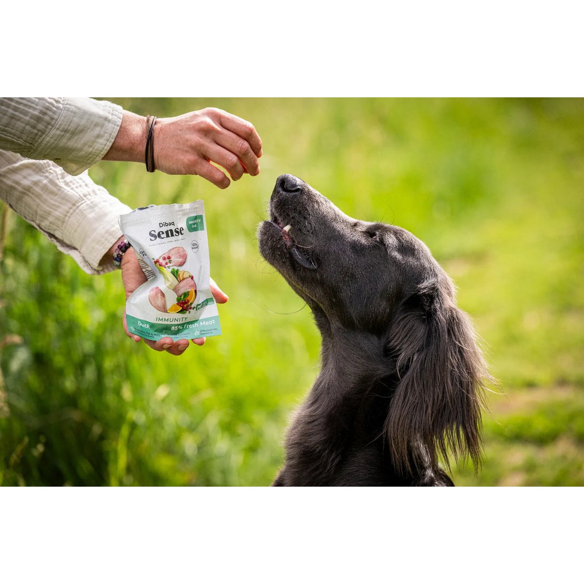 DIBAQ SENSE Immunité Canard 100g