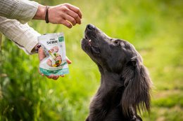 DIBAQ SENSE Immunity Duck 100g