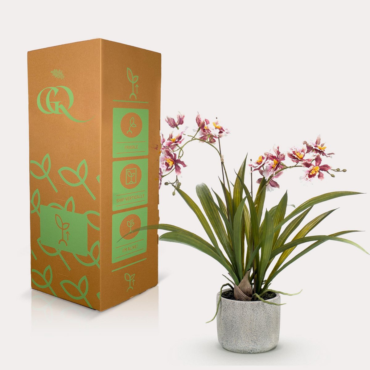 Planta artificial - Orquídea - Burdeos - 45cm