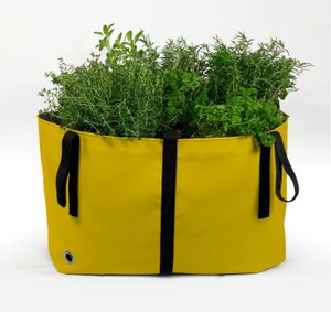 The Green Bag M