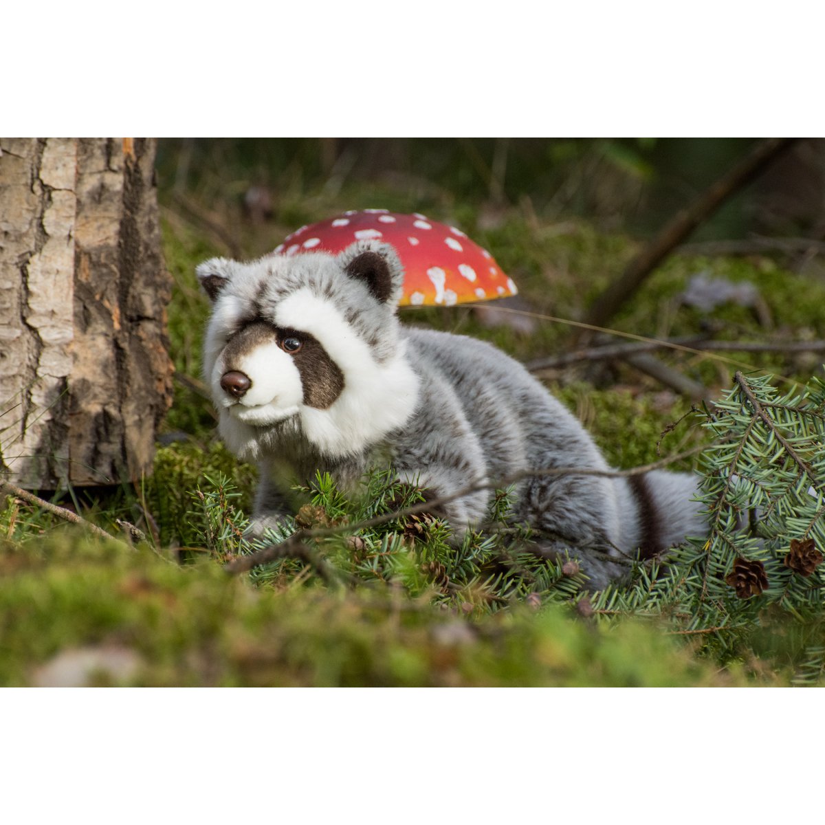 Raccoon 29 cm - plush toy - soft toy