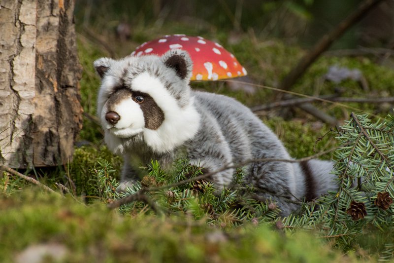 Raccoon 29 cm - plush toy - soft toy