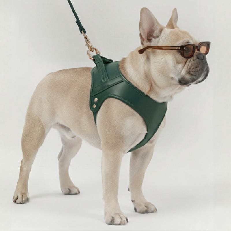 CABLAGGIO CHURCHILL. Verde Abete – Pettorina per cani imbottita in pelle vegana