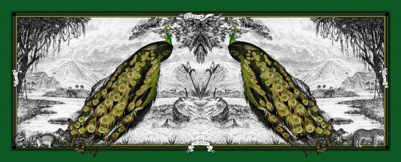 Fular Plumas Pavo Real 100% seda -180*75