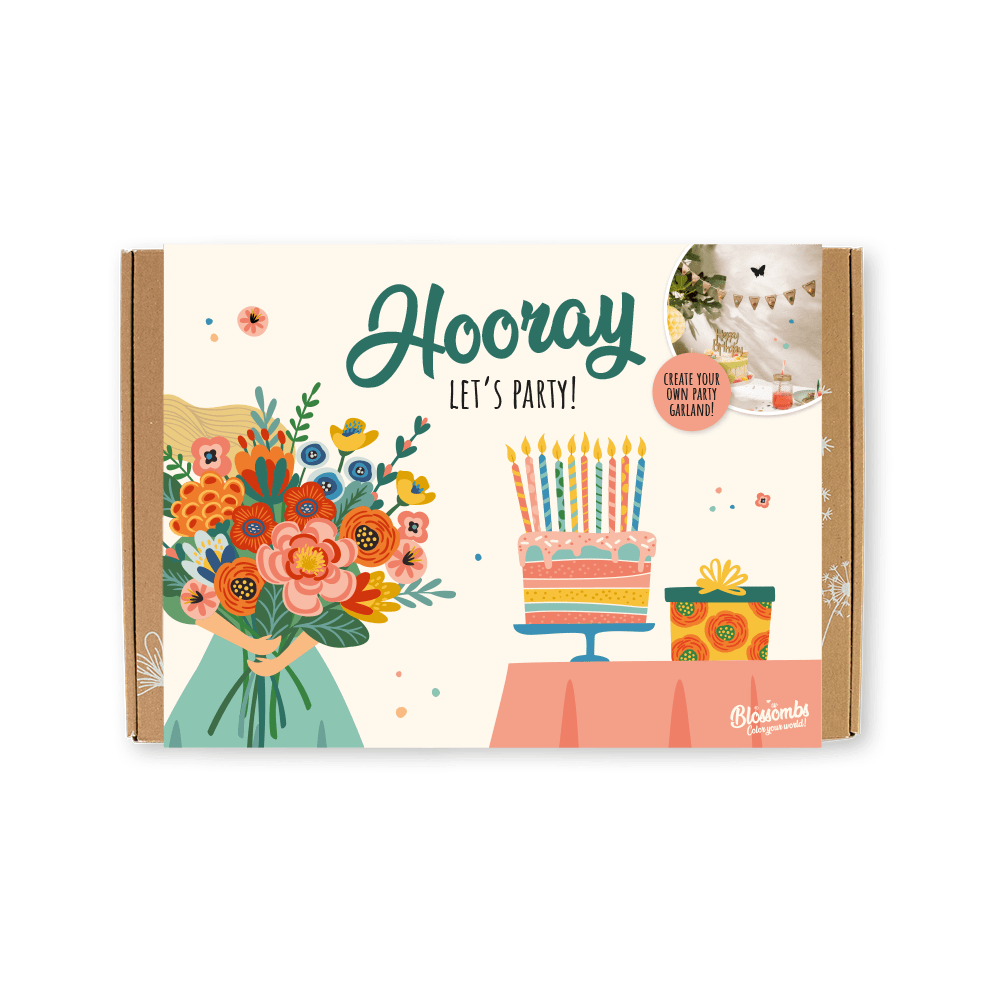 Gift Box Large DIY - Hooray, let's party