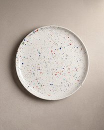 New Party Dinner Plate 27cm - Mix 6 Pieces