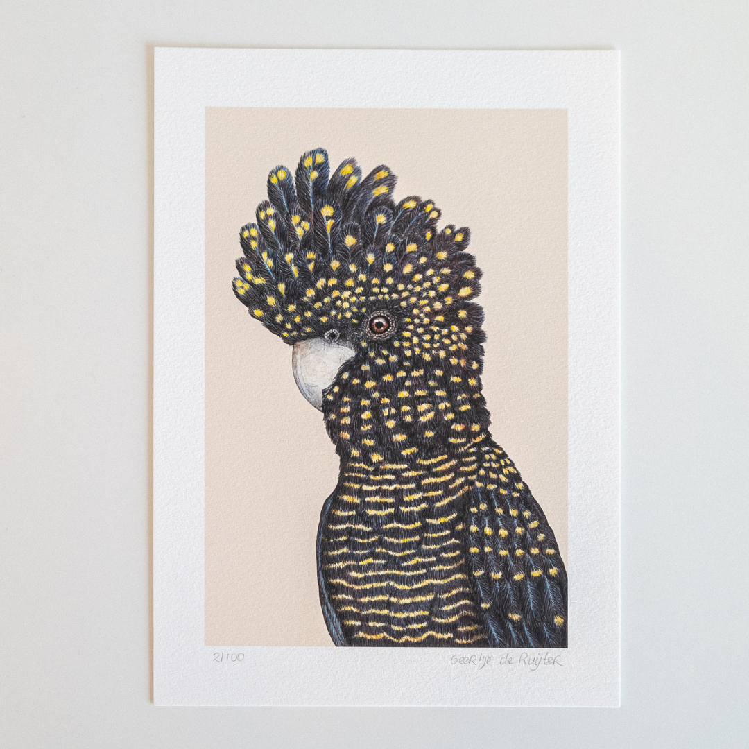 Fine art print LENNON