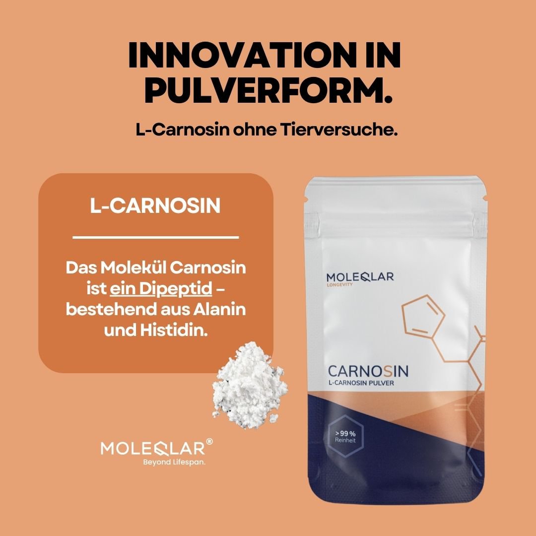 Carnosin Pulver