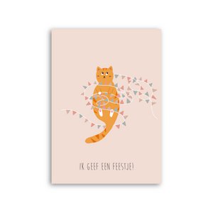 Children's party invitation - Cat with flags
