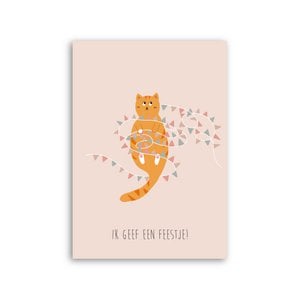 Children's party invitation - Cat with flags