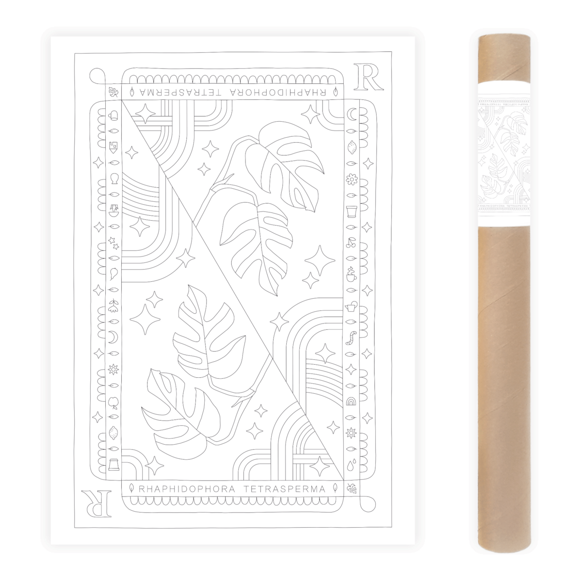 Rhaphidophora Tetrasperma Coloring Poster 50x70 cm