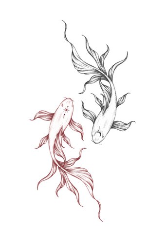 Temporary tattoo: carp duo