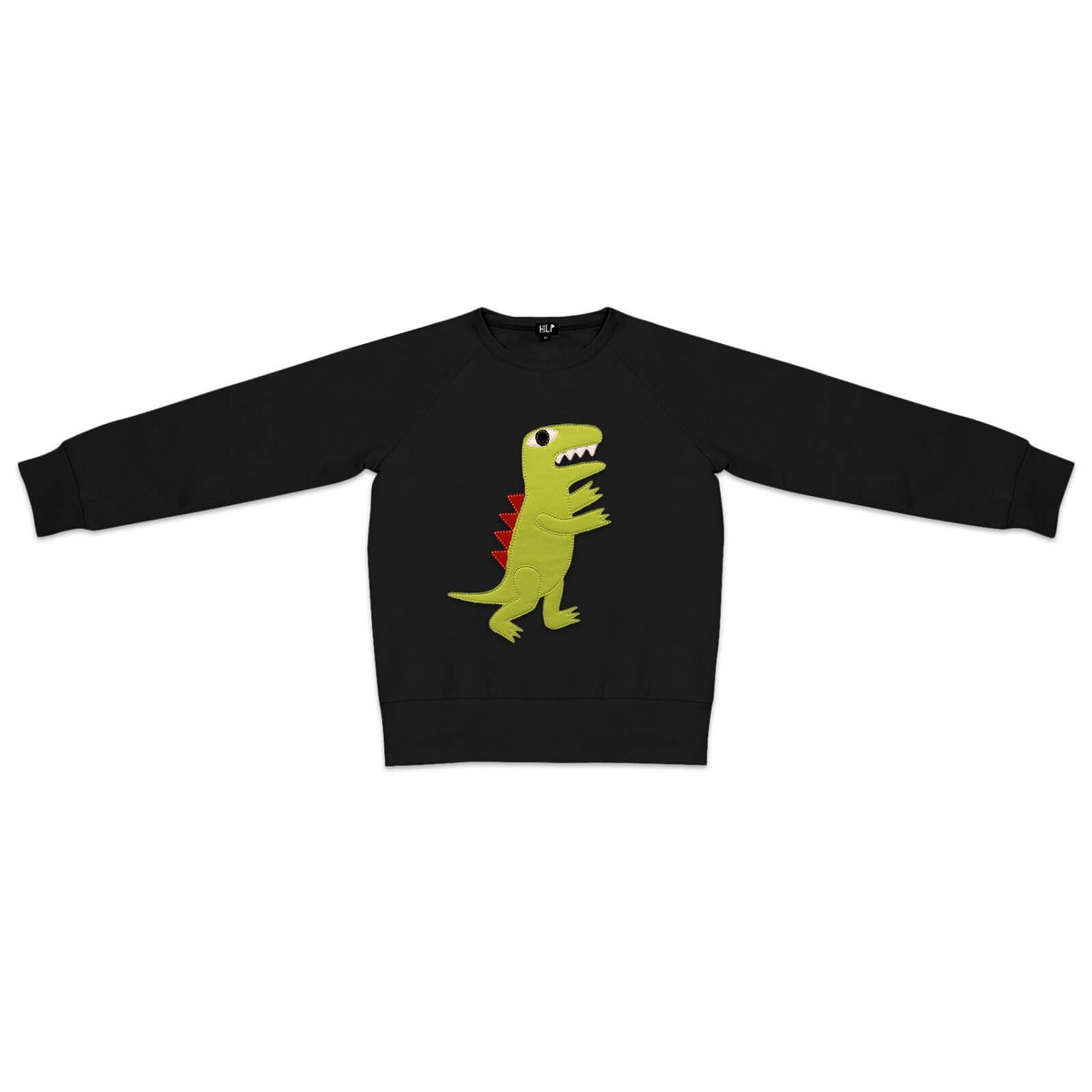 Kids Dinosaur Sweatshirt
