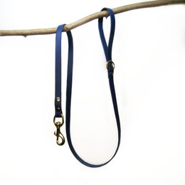 Standard dog leash available in a variety of colors including yellow, tangerine, orange, raspberry, coral, soft pink, violet, red, forest, neon green, apple, mint, navy, cobalt, white, black, chocolate, cognac, olive, and grey.